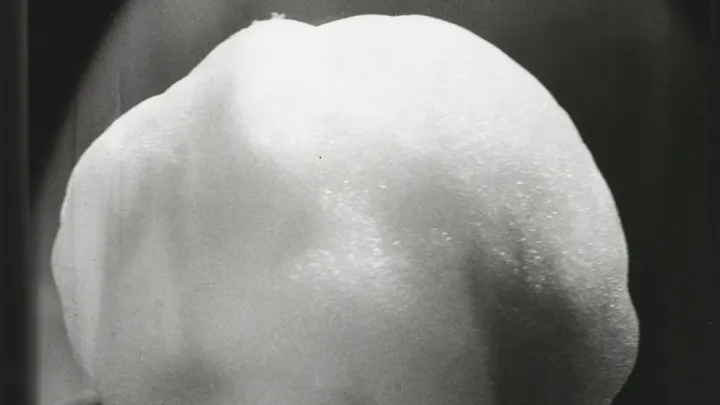 Dörte Eißfeldt, Schneeball 01 (Detail), 1988 © VG Bild-Kunst, Bonn, 2026